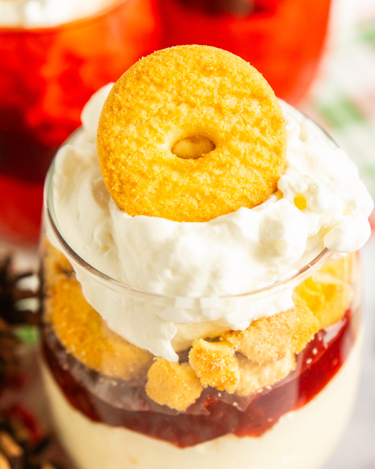 Le Veneziane Gluten Free Coconut Cookies - Short Dated