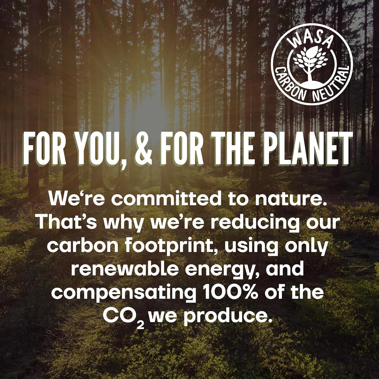 Wasa Light Rye Crispbread - International Loft