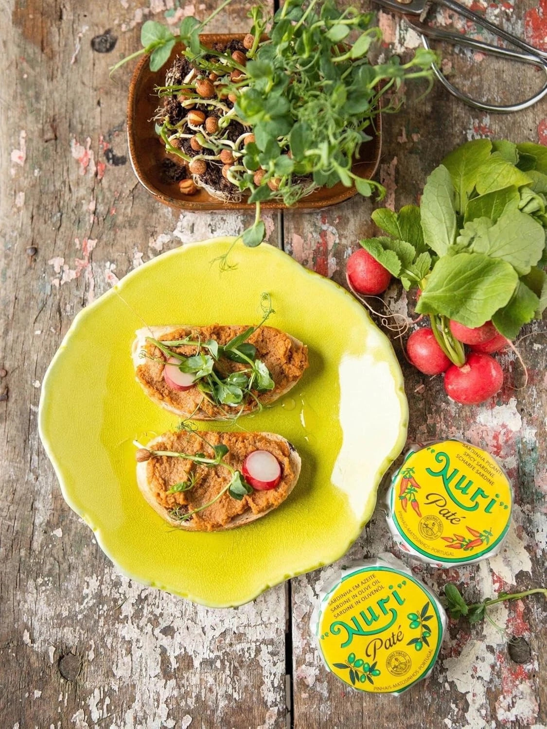 NURI Portuguese Sardines Complete Collection 12 Pack Variety by Seafood Aficionado in a Gift Box