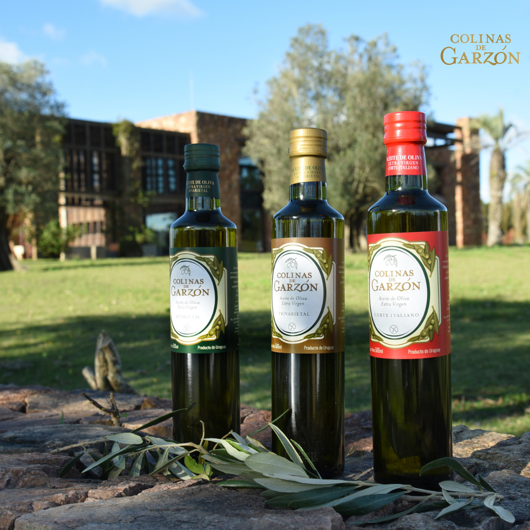 COLINAS DE GARZON ITALIAN BLEND PREMIUM EXTRA VIRGIN OLIVE OIL EARLY HARVERST COLD PRESSED ALL NATURAL BALANCED AND FRESH UNIQUE EVOO FROM THE LITTLE TUSCANY OF URUGUAY 500 ML BOTTLE (17 FL OZ) - International Loft