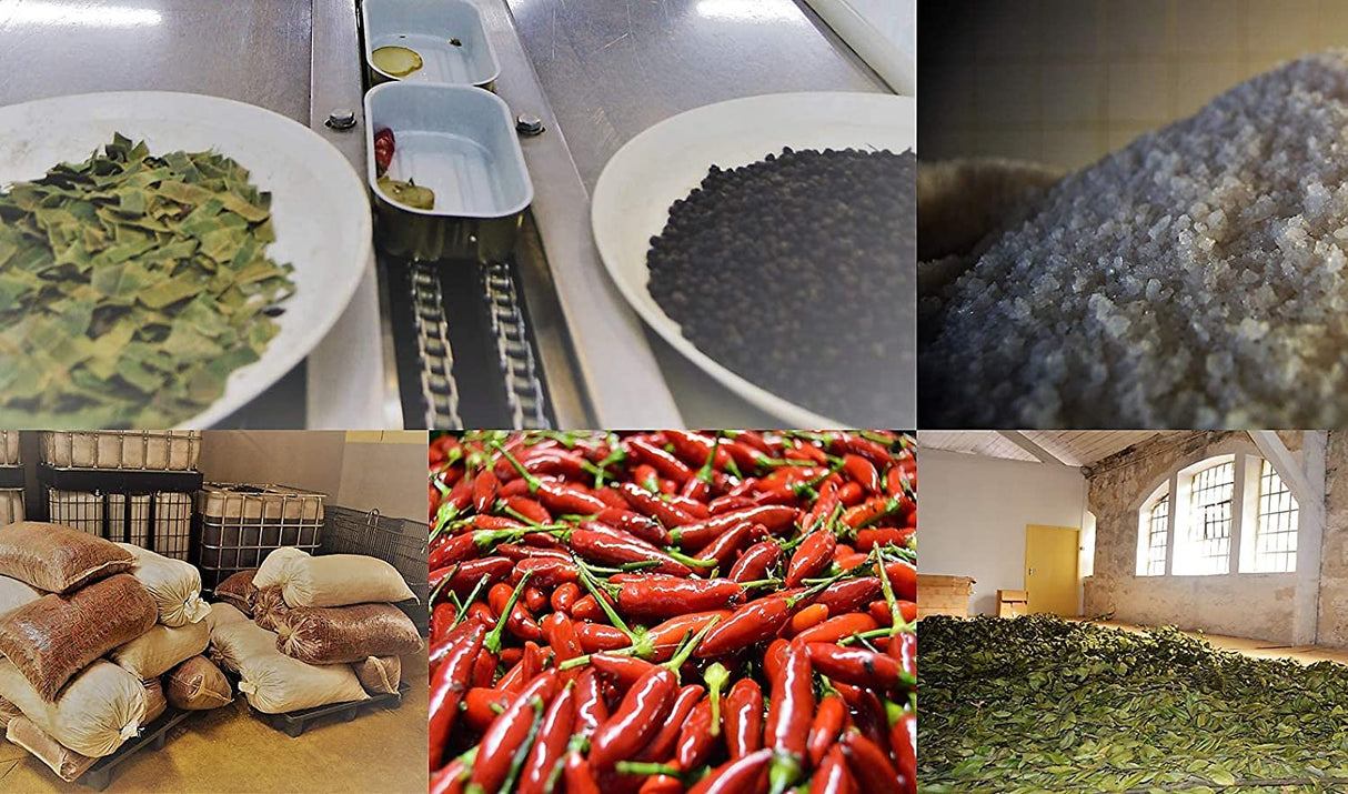 NURI Portuguese Sardines And Mackerel Variety Pack In A Limited Edition Gift Box 6 Pack Bundle One of Each - International Loft