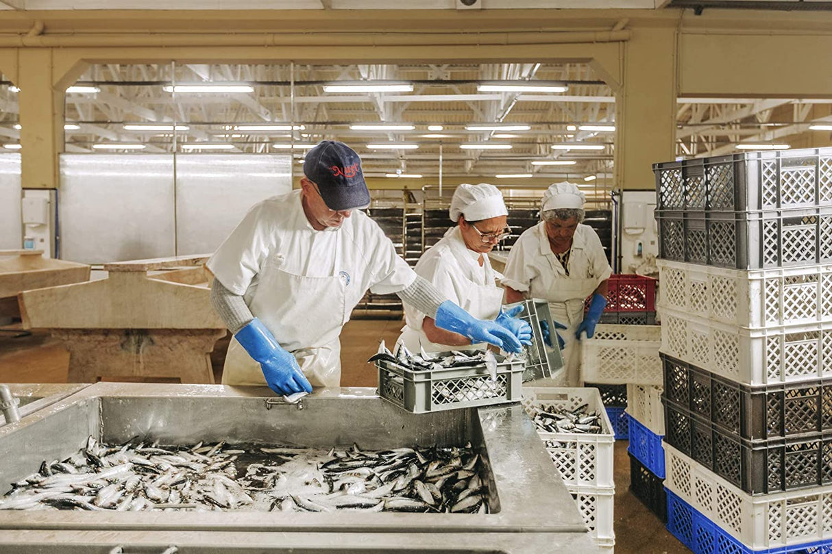 NURI Portuguese Sardines And Mackerel Variety Pack In A Limited Edition Gift Box 6 Pack Bundle One of Each - International Loft