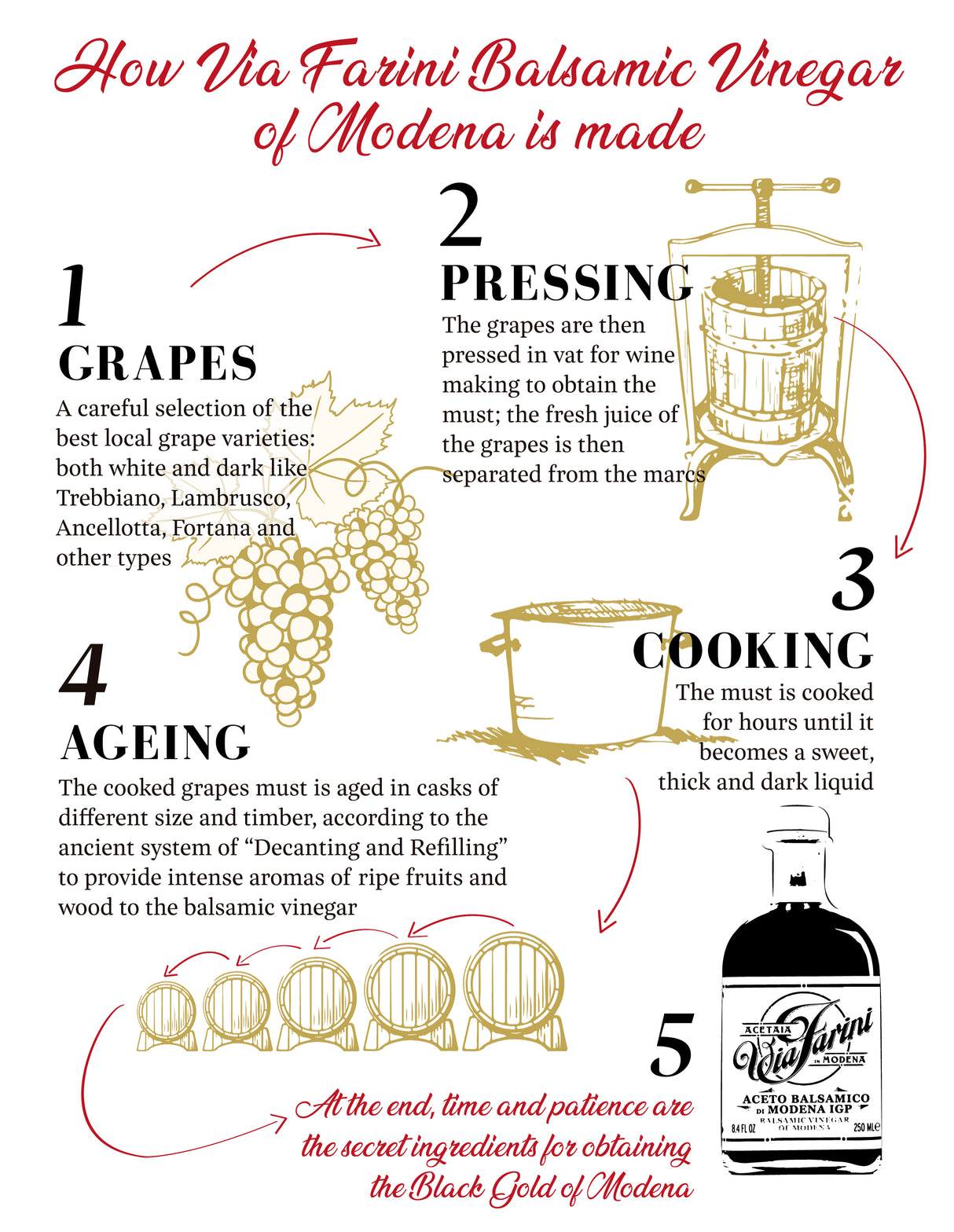 Via Farini Balsamic Vinegar of Modena - Red Label - International Loft