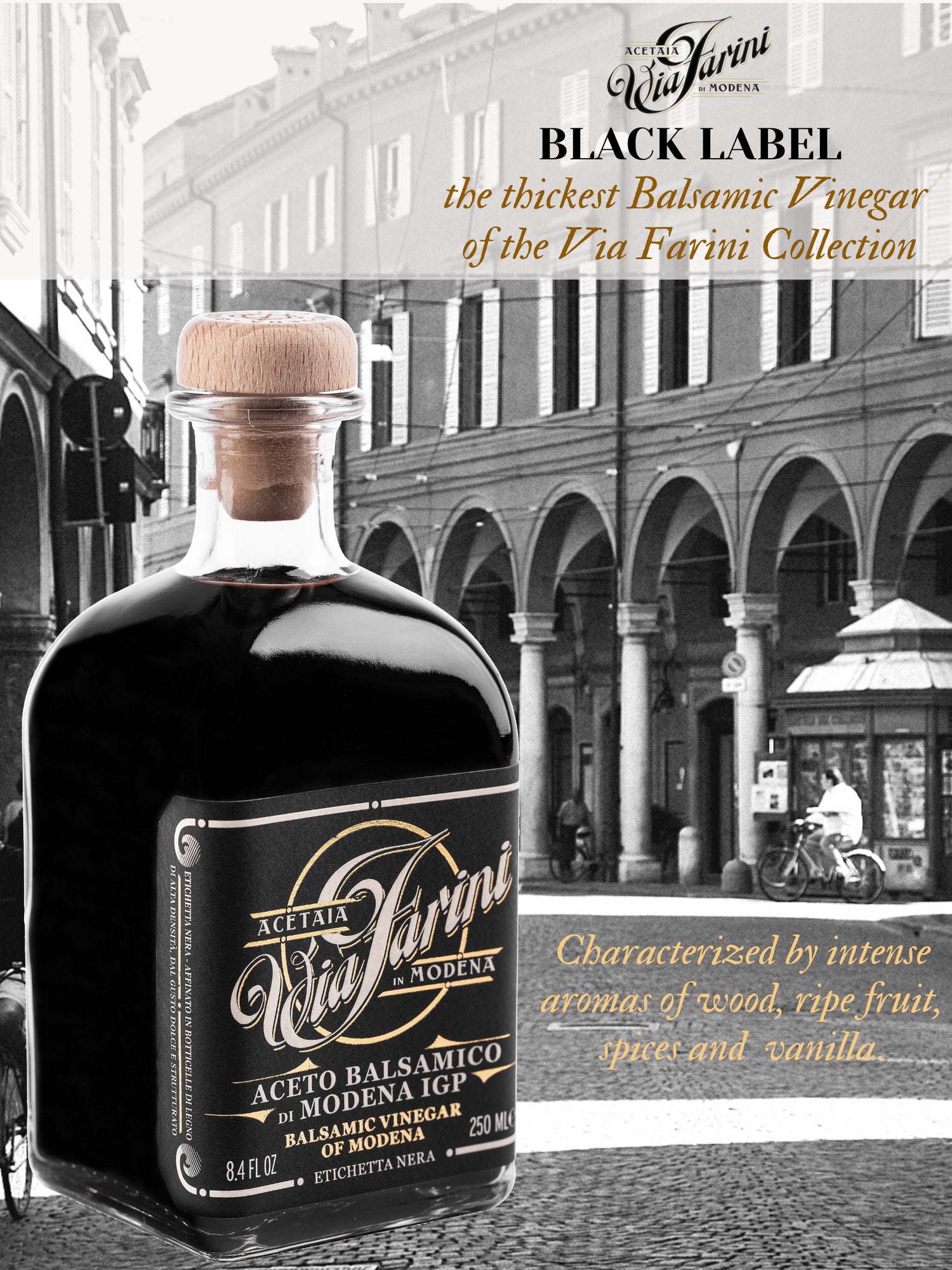 Via Farini Balsamic Vinegar of Modena - Black Label - International Loft