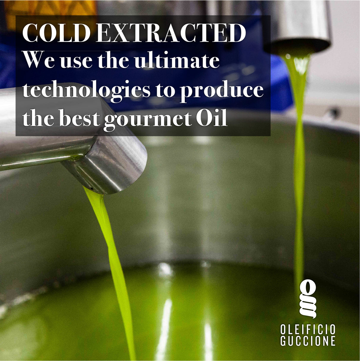 Zahara Premium Italian Extra Virgin Olive Oil 16.9 Fl Oz 500ml - Oleificio Guccione - International Loft