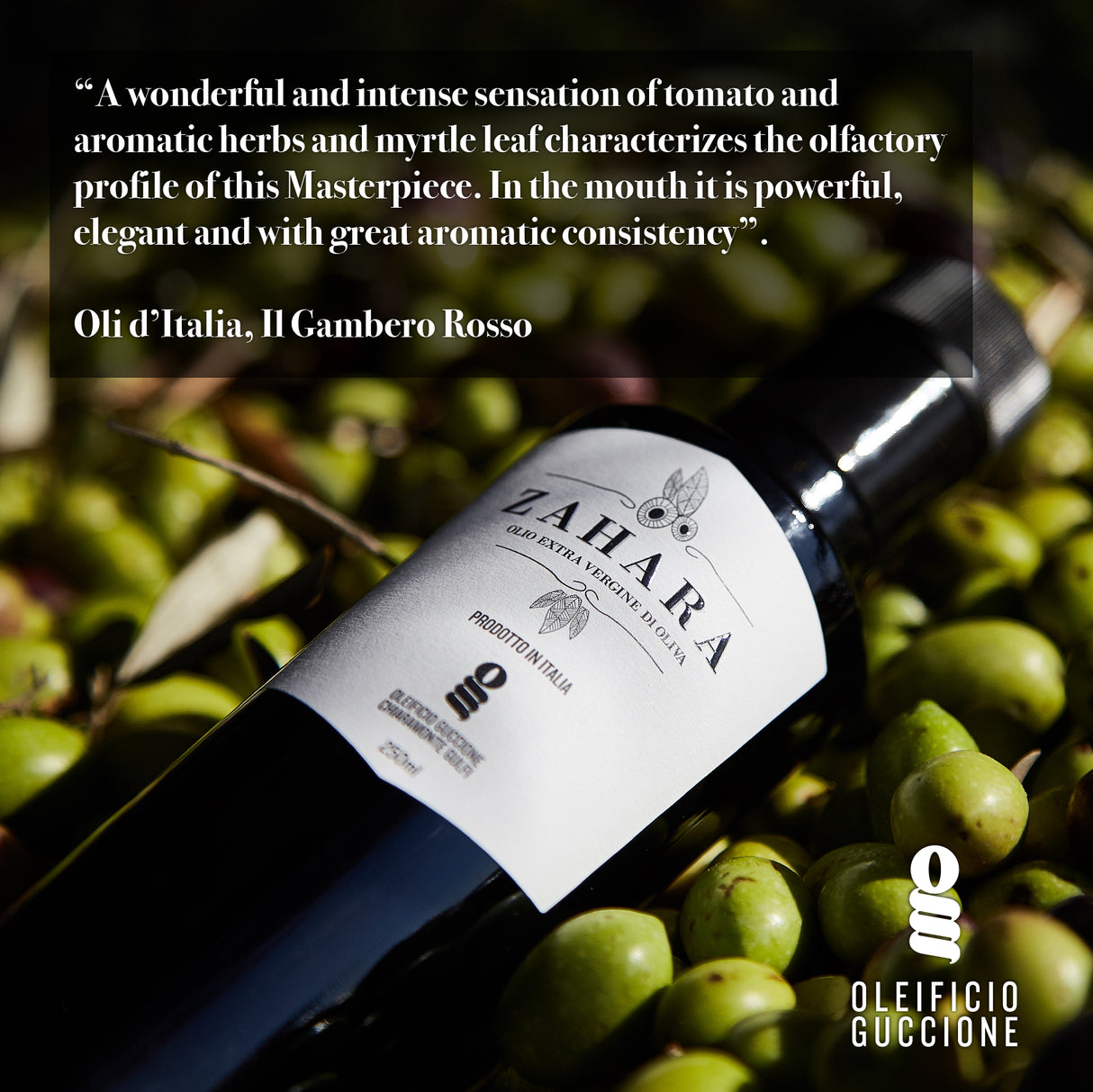 Zahara Premium Italian Extra Virgin Olive Oil 16.9 Fl Oz 500ml Without Gift Box - Oleificio Guccione - International Loft