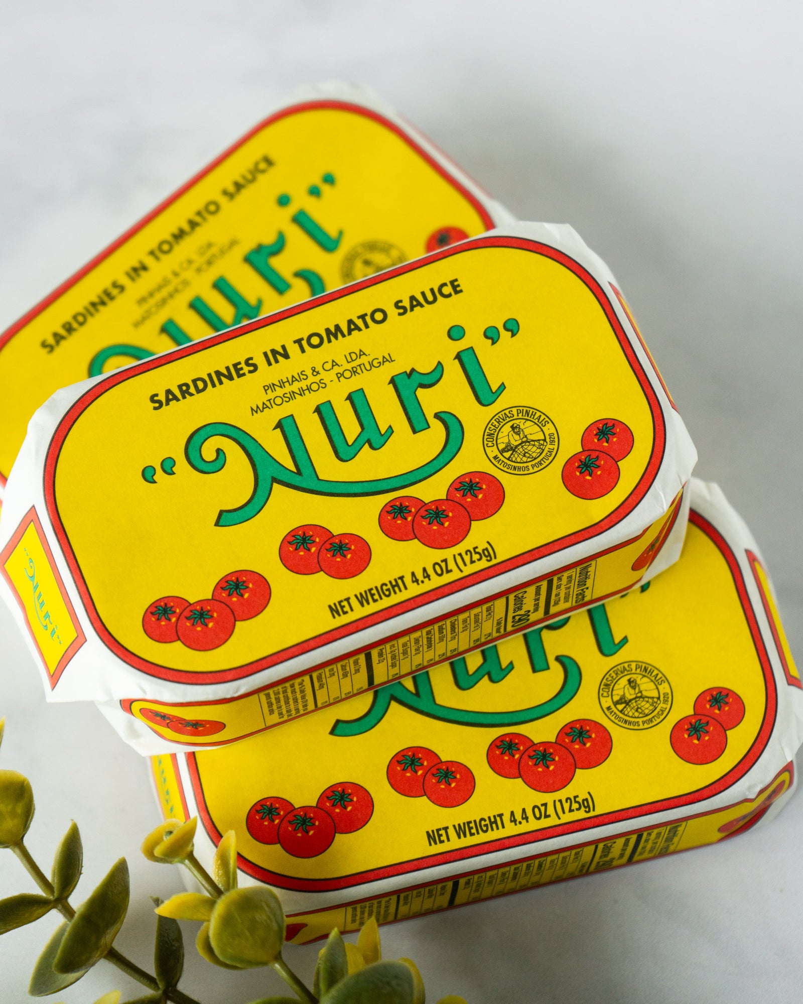 Where to Buy NURI Sardines: Fresh Restock Available Now