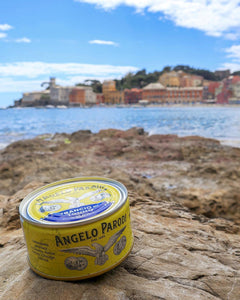 Angelo Parodi Solid Yellowfin Canned Tuna in Pure Olive Oil - International Loft