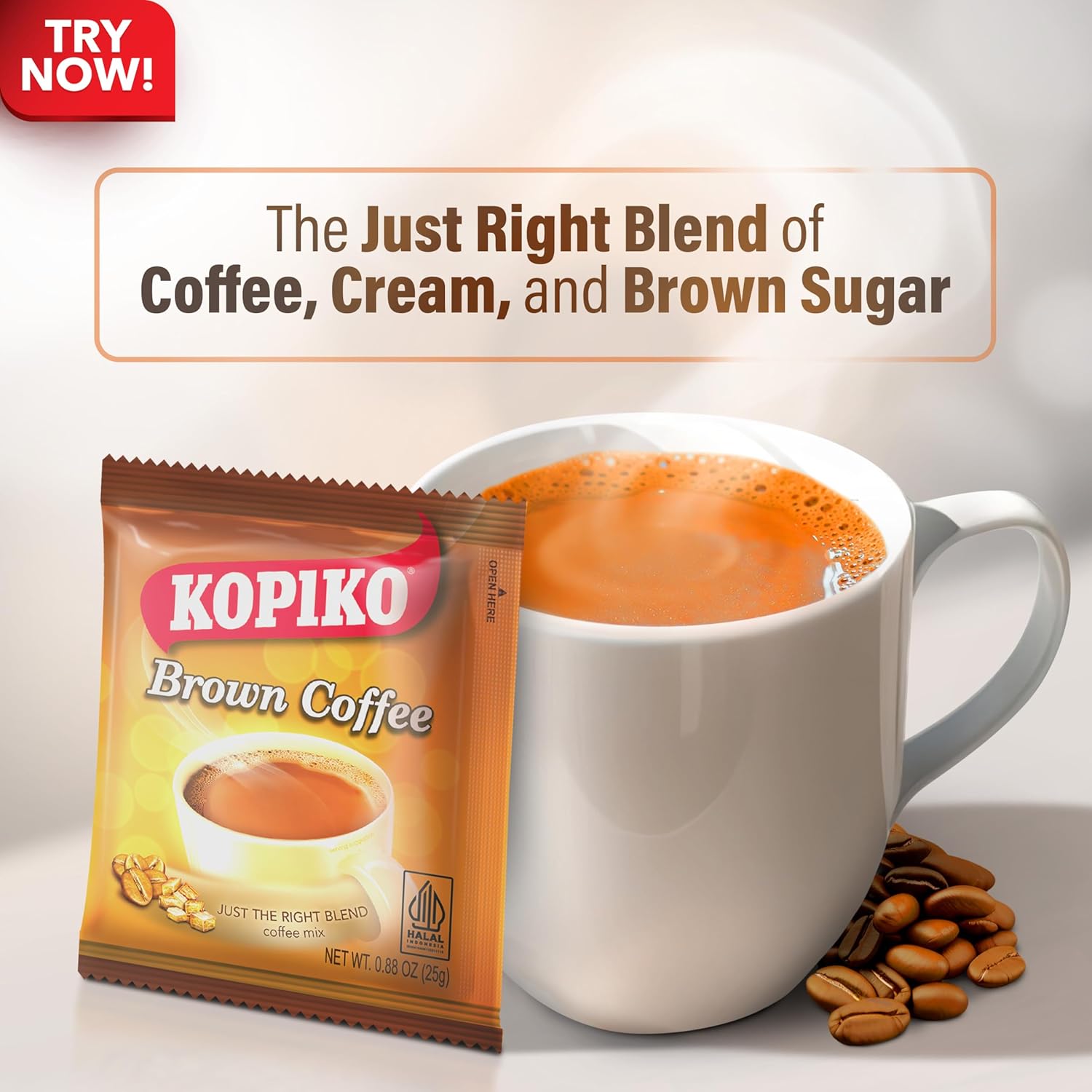 Kopiko Brown Coffee Mix 8.8 Oz 10 Packet Bag – International Loft