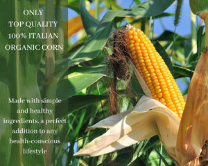 Le Asolane Certified Organic Gluten Free Ditalini Pasta Authentic Imported Italian Gourmet Pasta from Select Premium Grade Corn Flour 8.8 oz package - International Loft