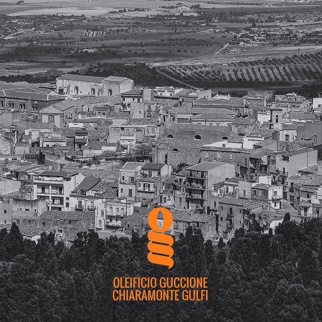 Zahara Premium Italian Extra Virgin Olive Oil 8.4 Fl Oz 250ml - Oleificio Guccione - International Loft