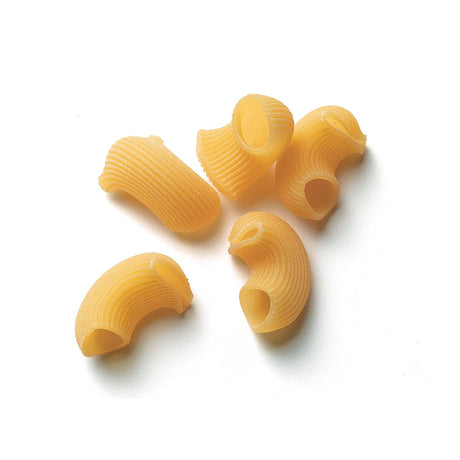 Monograno Felicetti Kamut Chiocciole Pasta Italian Organic Non-GMO 17.6oz (500g) - International Loft