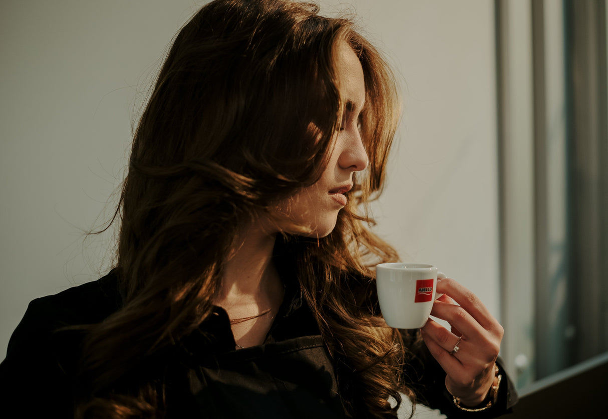 Aiello Caffé Italian Espresso Sublime Coffee Beans, Medium Roasted Whole Bean Coffee Blend - International Loft